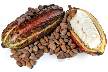 Kakaobohnen 240